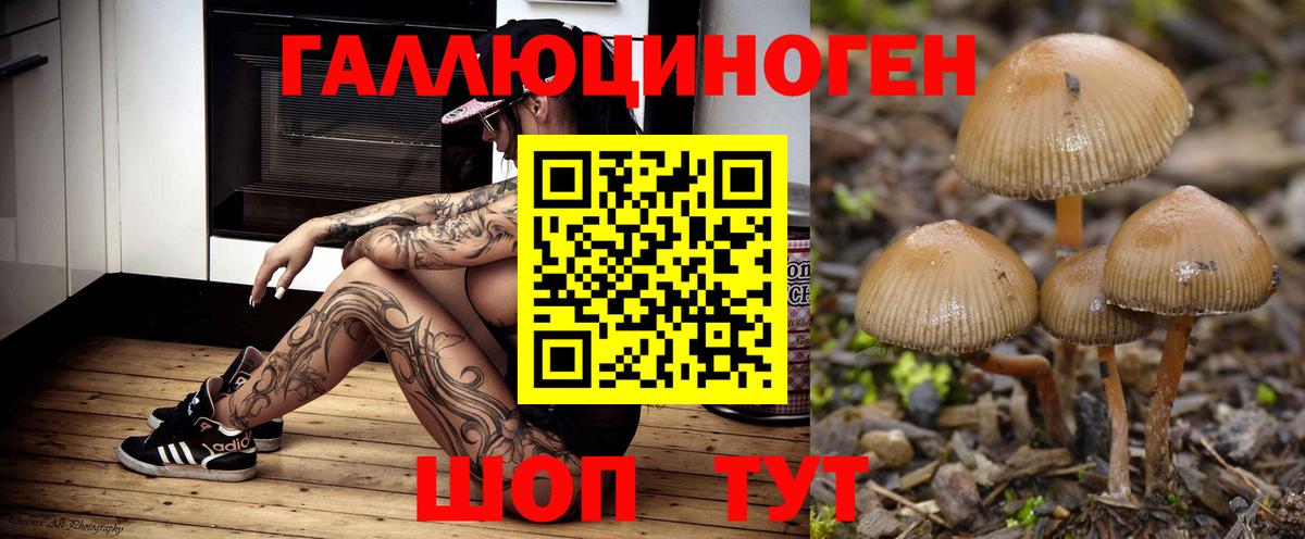 Псилоцибиновые грибы Magic Shrooms Гусь-Хрустальный